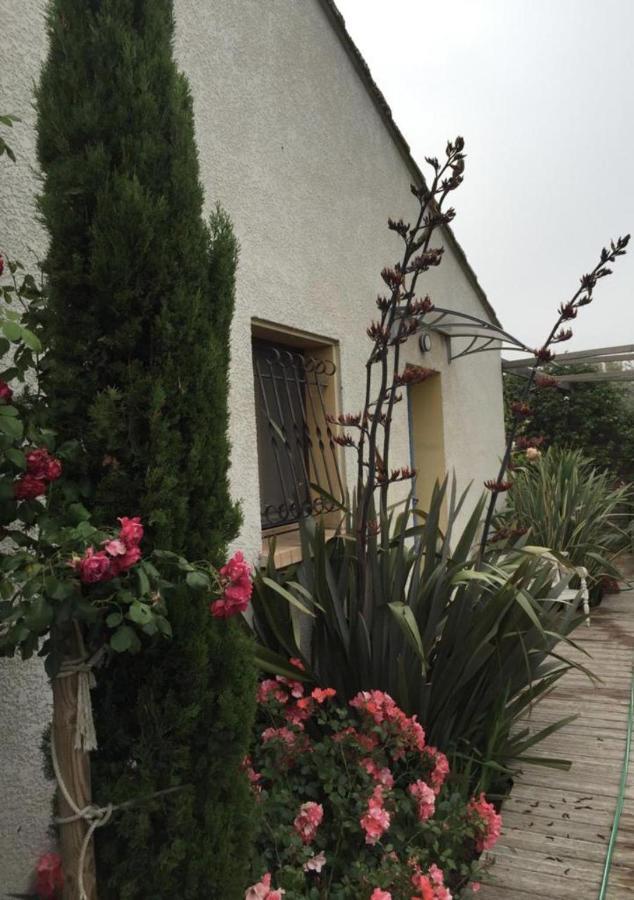 La Villa Vaihere En Camargue, L'Hibiscus Et Le Magnolia Σαιντ-Μαρί-ντε-λα-Μερ Εξωτερικό φωτογραφία